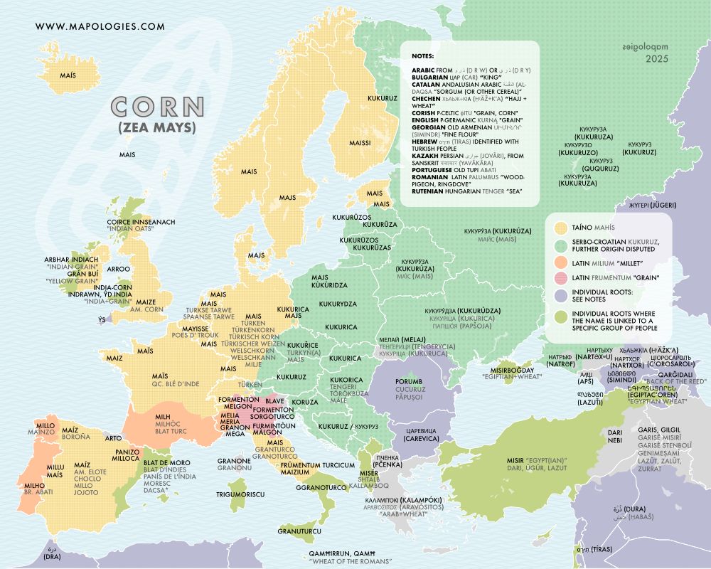 Etymology map of corn or maize