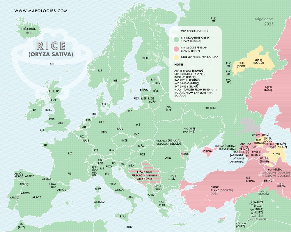 etymology map of rice