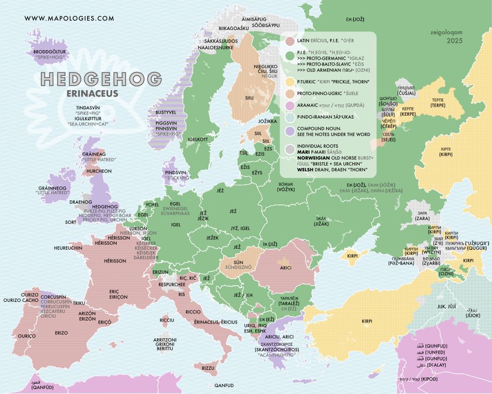 Etymology map of hedgehog