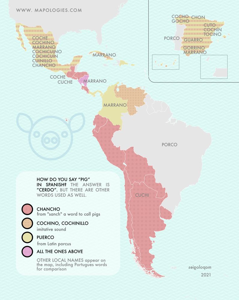 The word pig in Spanish