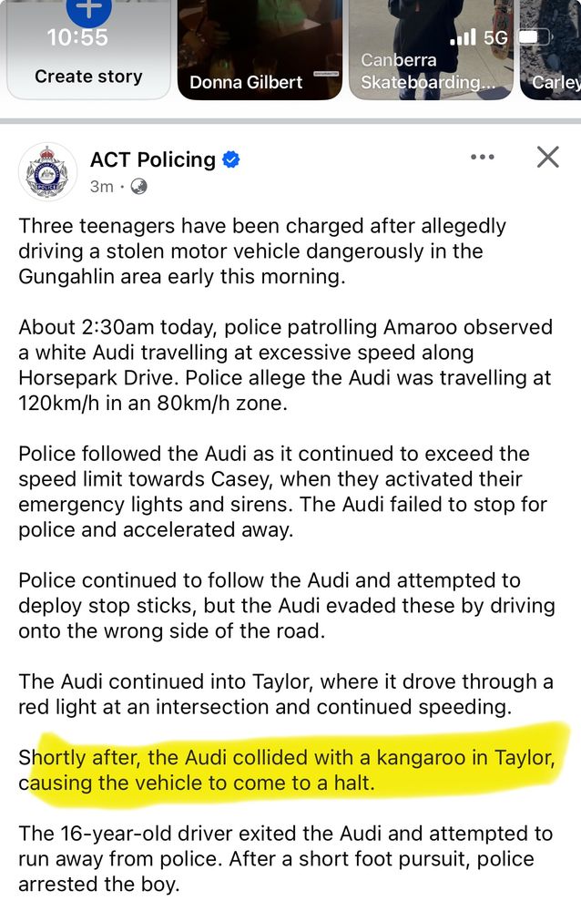 ACT policing post about a stolen car. Highlighted text “the Audi collided with a kangaroo in Taylor, causing the vehicle to come to a halt”