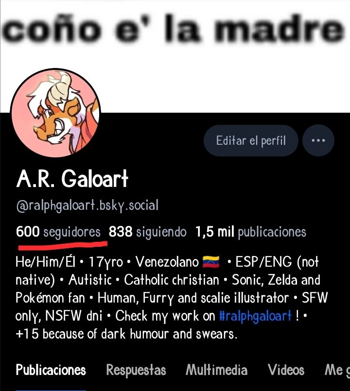 Screenshot of my account, highlitghting my follower count, wich is at 600.