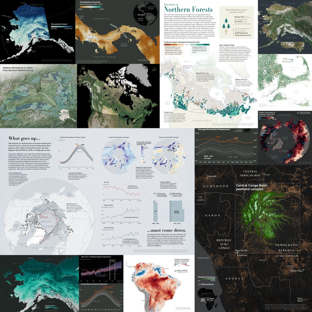A collage of maps that Christina made in 2024. Topics include permafrost, boreal forests, wildfire, peatlands, and drought.