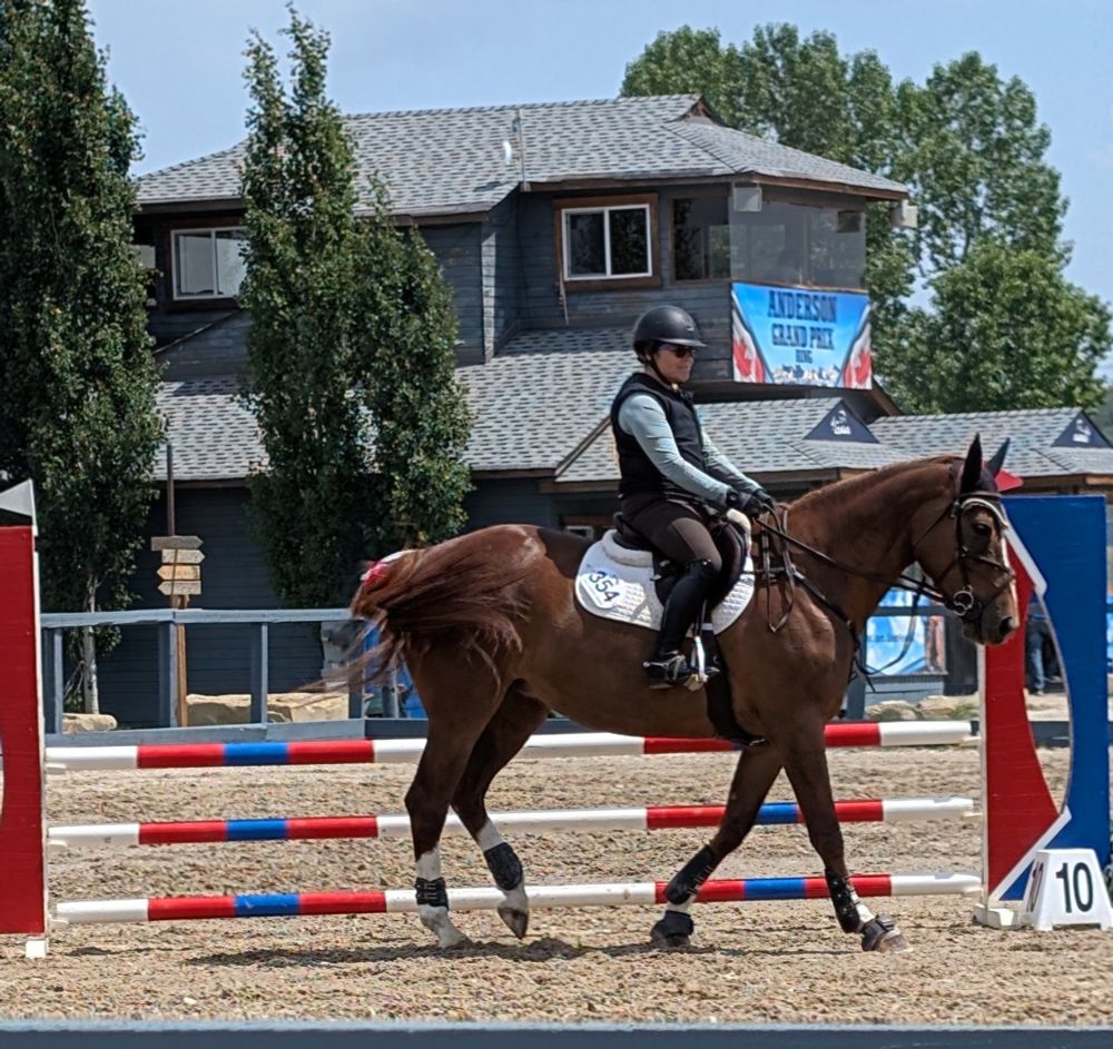 A woman riding a brown horse in a show jumping ring with building in the background 