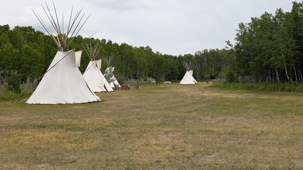 A row of three tipis on the left and another further away on the right. The Tipi village is on a flat grassy pasture between trees.