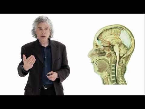 Steven Pinker: Linguistics as a Window to Understanding the Brain | Big Think