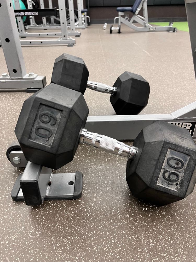 Two 60 lb hand weights 