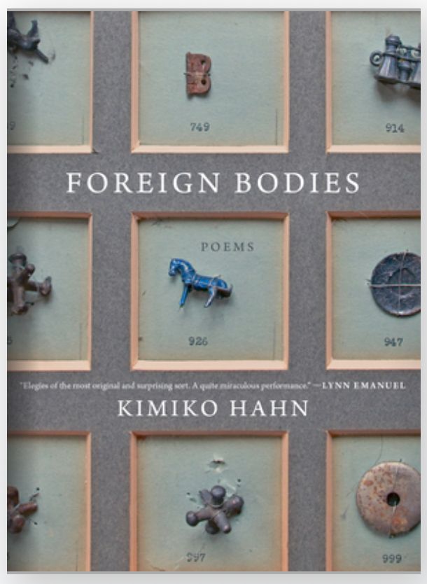 The cover of Foreign Bodies by Kimiko Hahn. Behind the white title text is a close up on a display like a museum one with small items in little squares. In the center is a tiny blue horse figurine, below it is a slightly rusty jack, to the left of the horse is another jack, to the top is what might be a very rusty part of a hinge, to the right is a circular silver object that might be a plate from a doll's dinner set, above the "plate" is tiny doll binoculars, below the plate is a bronze-ish circular object with a hole in the center that might be a washer of some type, top left is what looks like a small dog or cat that has moved out of place and is partially cut off, bottom left is what might be another jack.