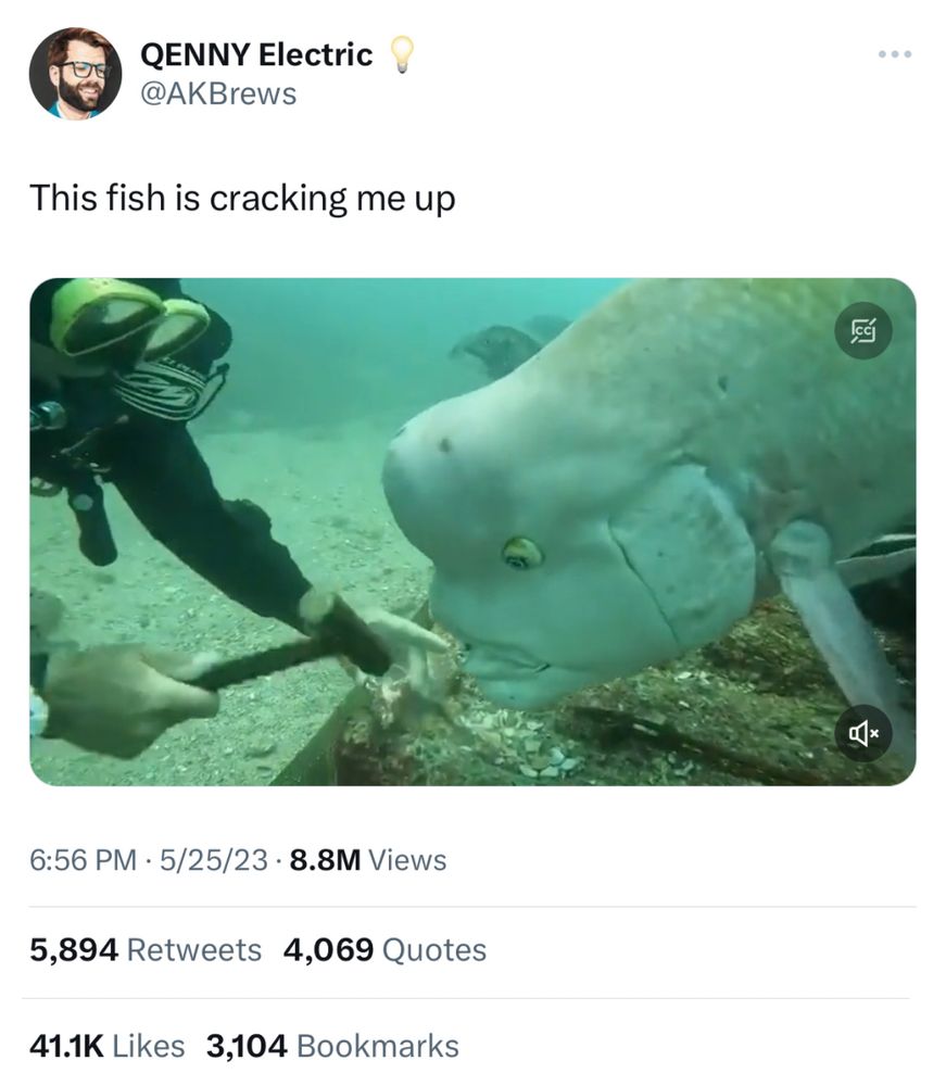 Screenshot of a tweet with a video that shows a real fish that resembles the CGI Michael Jackson bug