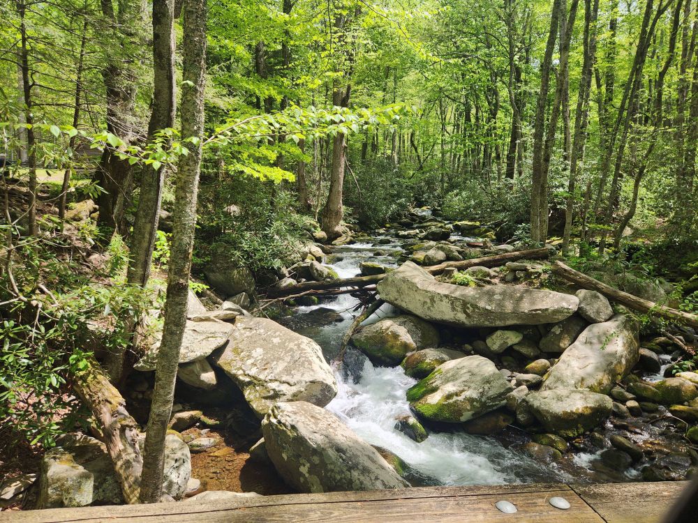 Rushing water in the Great Smoky Mountains 