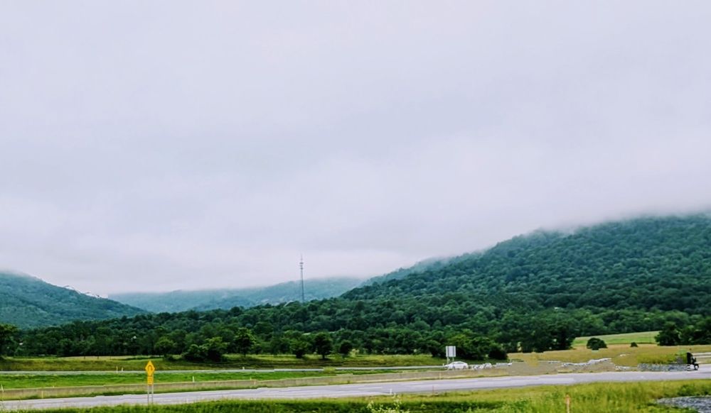 Beautiful Appalachian mountains with fog and those lovely lush green trees.