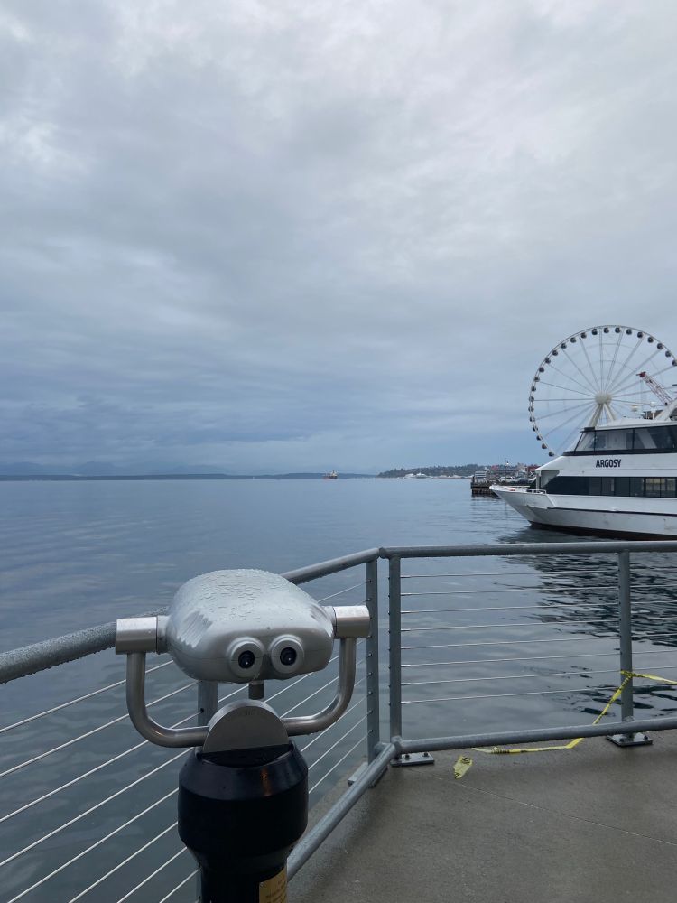 A viewfinder looks out over the still water of the bay, a ferry and a Ferris wheel on the right side of the frame