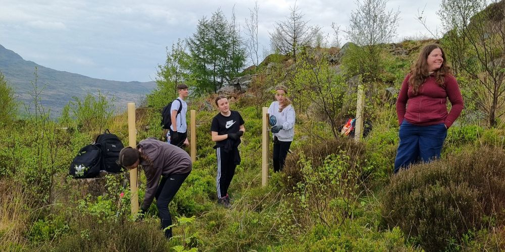School pupils and teacher standing on the hill, planting and maintaining saplings