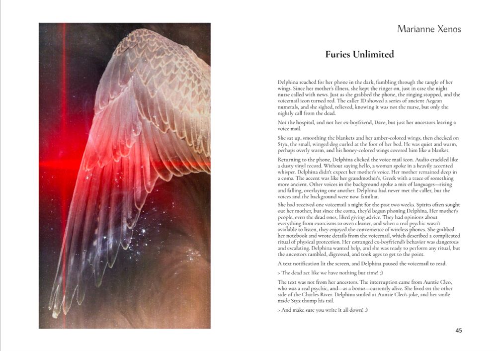 On the left is an illustration of a wing with a star-like burst of red light against a warm-colored background. On the right is the first page of a story with the title "Furies Unlimited" and the name of the author "Marianne Xenos" at the top. The first line reads, "Delphina reached for her phone in the dark, fumbling through the tangle of her wings."