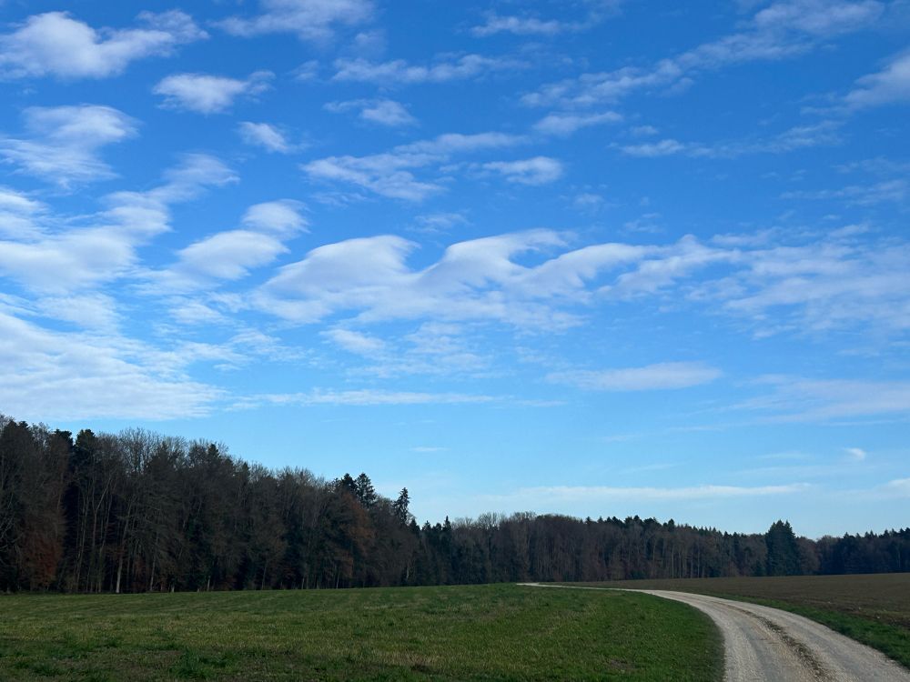 Ein ne kleine Reihe wellenförmiger Wolken über einem Feldweg. Im Hintergrund der Waldrand. 