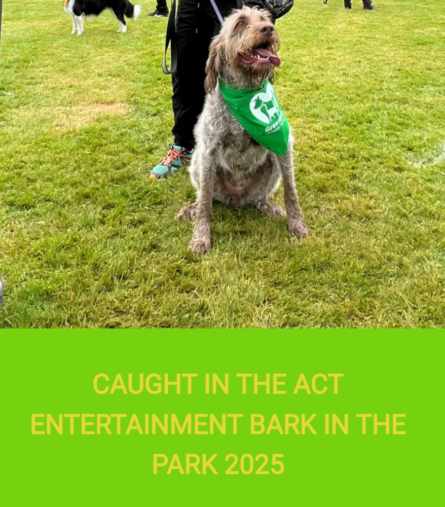 Spent the morning @barkinthepark walk/run fundraiser for the Green Hills Humane Society. #dogsky #greenhillshumanesociety #spinonesky