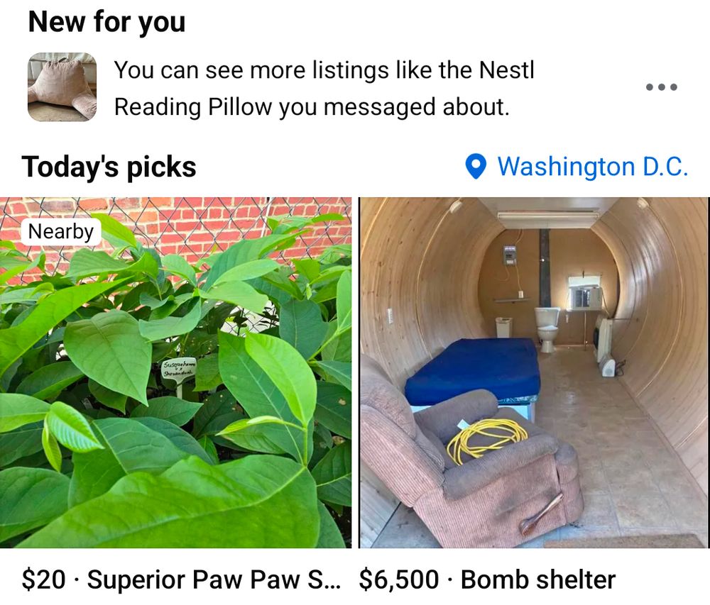Facebook marketplace's top picks for Washington DC. On the left, "$20 Superior Paw Paw seedlings" on the right "$6500 Bomb shelter"