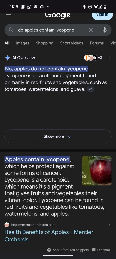 Google search "do apples contain lycopene?" The AI overview says "No, apples do not contain lycopene" whereas the highlighted search result begins "Apples contain lycopene"