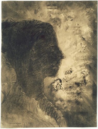 David Adler Collection
