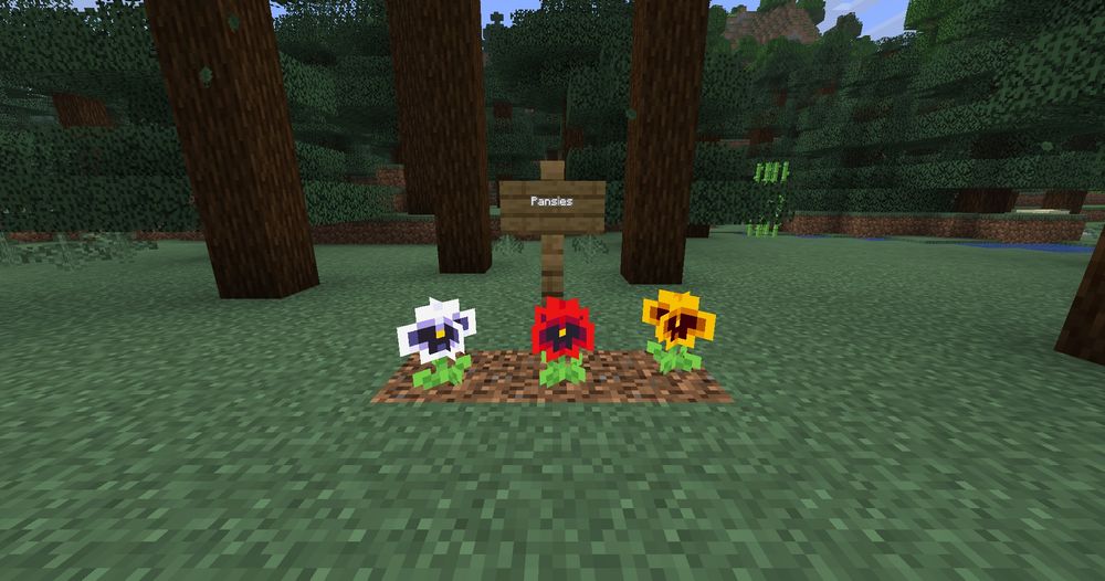White, red, and yellow pansies placed next to each other in a Minecraft world with a sign above them that reads "Pansies".