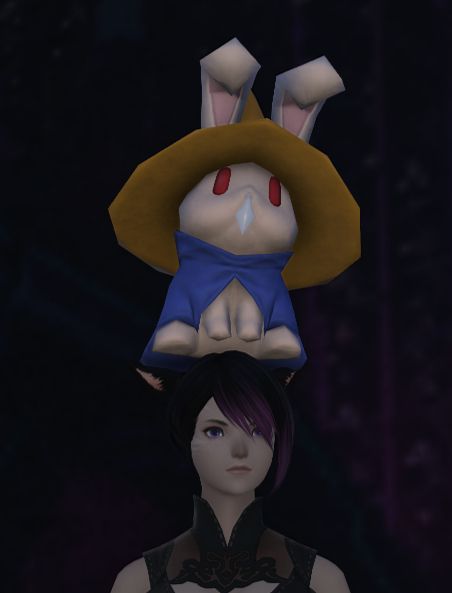 perchbird's Final Fantasy XIV character, with the Rabbit Medium rabbit on her head.