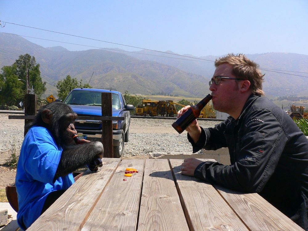 a pic of me with a chimp I am purposefully confusing with Robbie Williams as an example of my impish sense of humour