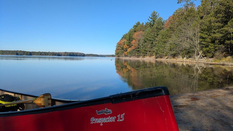 Red canoe with whitefish sticker in the foreground and a wilderness lake in the background. Mostly conifers on the shore but some color from leaves.