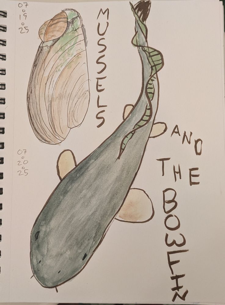 Ink and watercolor sketch of a mussel with a smaller mussel attached to it and a cool fish.