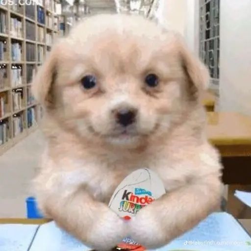 Me lookin sick as fuck with a kinder egg in a library happy to hear about the tactics rerelease 