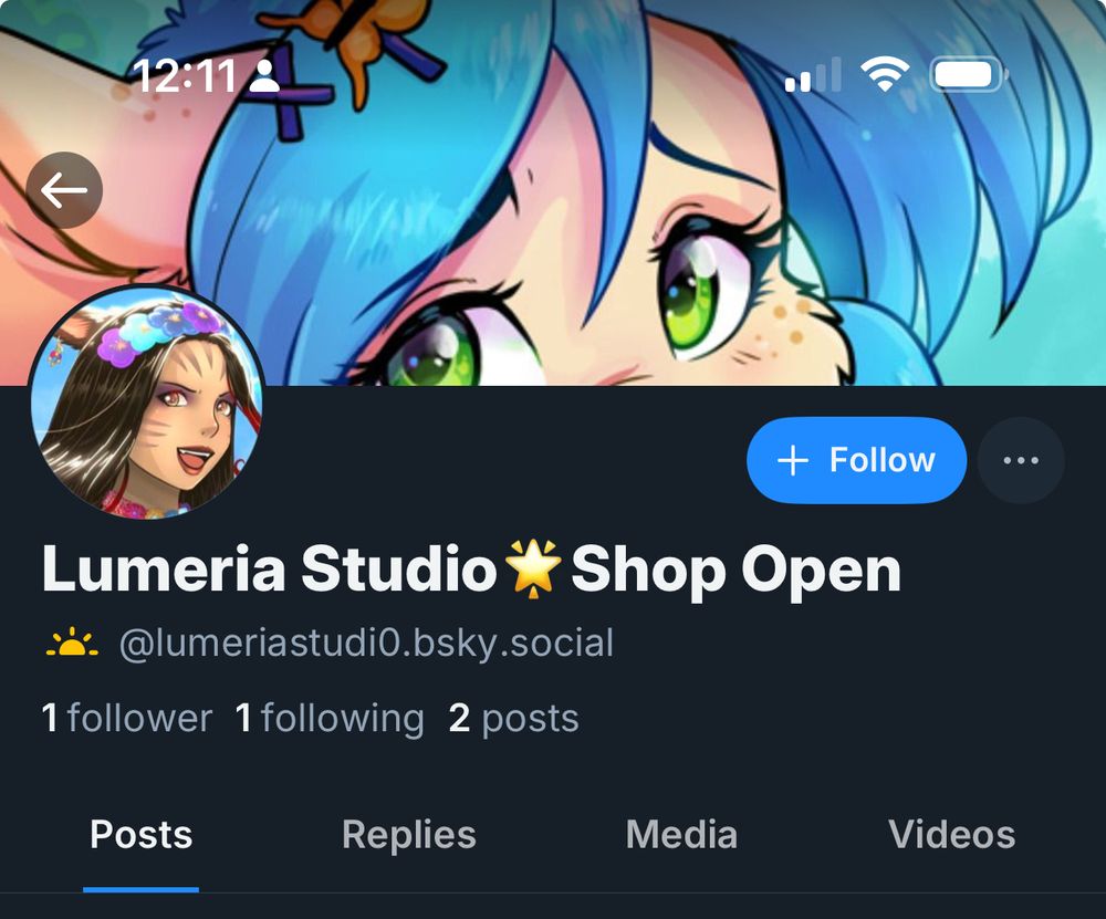 Screenshot of account impersonating me.