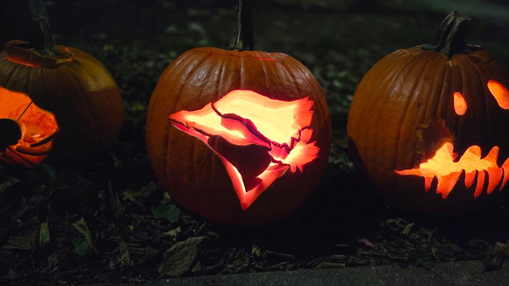 Two pumpkins. Left features the Jays logo, right has a jack-o'-lantern face.