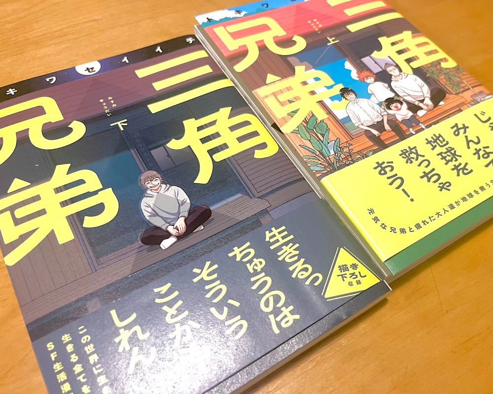 『三角兄弟』上下巻、表紙には三角形のエンボス加工がなされている。

