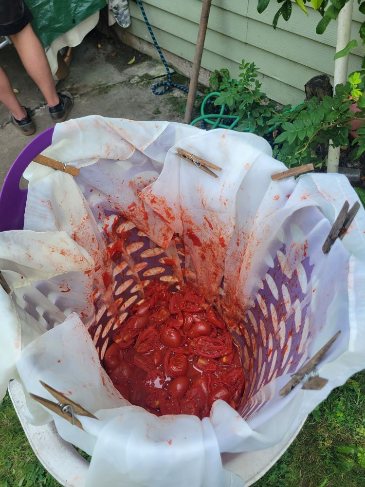 Straining the tomats 