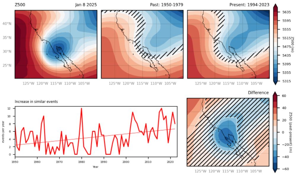 Figures taken from https://www.worldweatherattribution.org/climate-change-increased-the-likelihood-of-wildfire-disaster-in-highly-exposed-los-angeles-area/ showing the ERA5 Z500 field of Jan 8 2025 over California, and the closest analogues from a past and present period. Below, a timeseries of the change in frequency of similar events through time - showing an increase between 1950 and 2024.