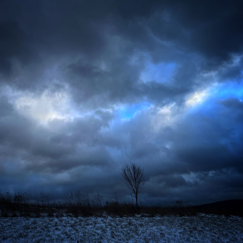 A very moody sky with white and dark clouds, very deep blue sky peeking through almost violet in places, the sun is up there somewhere but we are almost completely cut off from it. A young elm tree is all branch and twig, the field is tufted brown grass patching up from a general sift of snow, blue in the gloom.