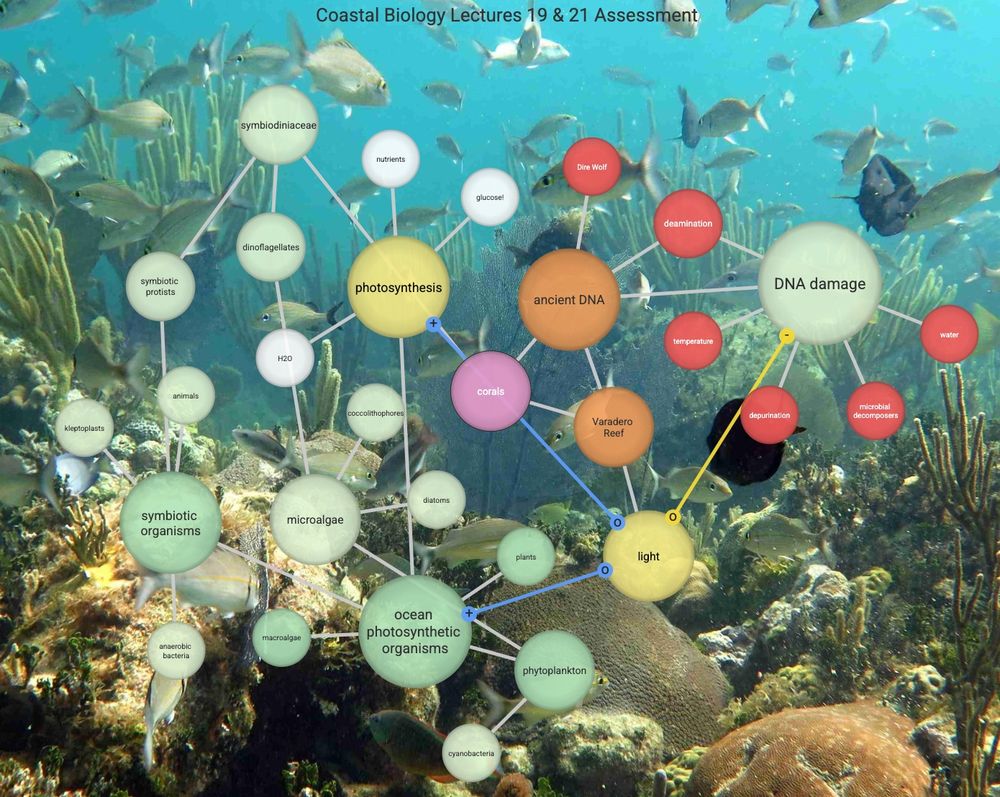 Coastal Biology 7vortex weekly assessment on coral reefs. Each bubble has additional content on that particular subject. https://www.7vortex.com/ecosystems/edac75d6-cfe0-477f-b5c9-e653f7b88da2/view
