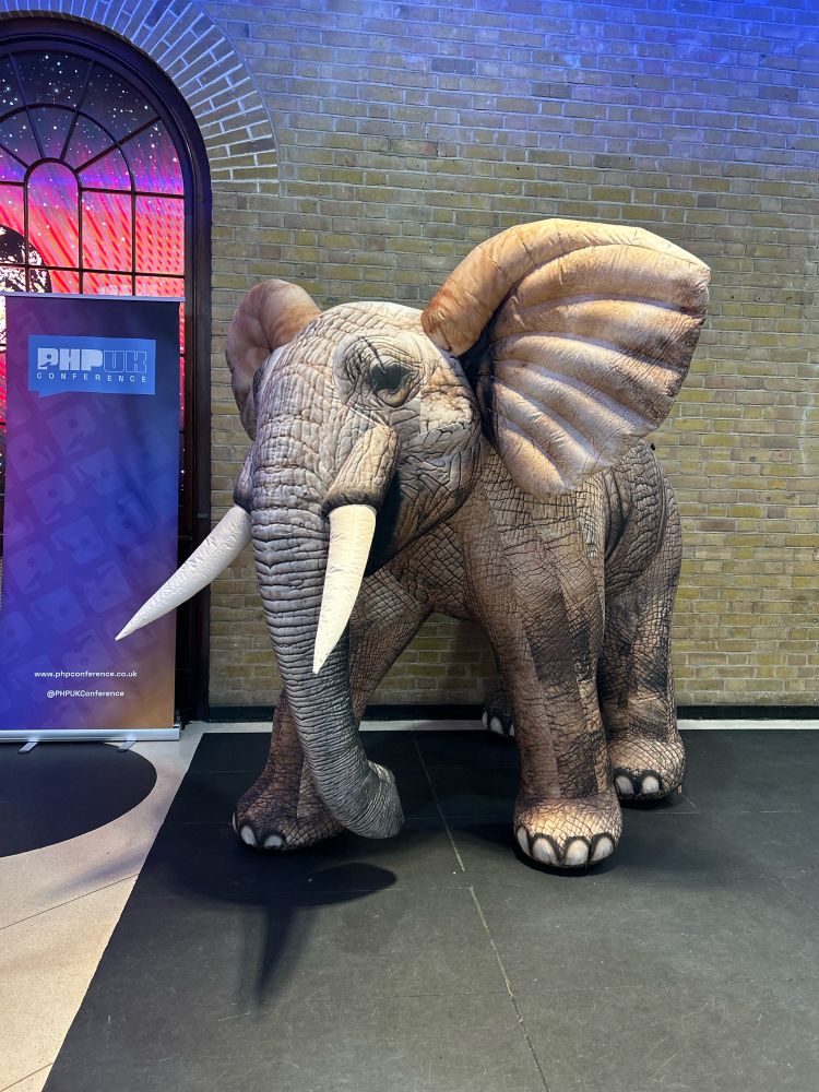 Picture of an elephant