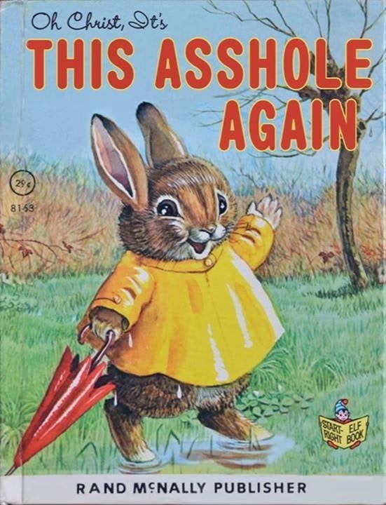 Fake children’s picture book cover of a bunny in a raincoat carrying an umbrella with the title “Oh Christ, It’s THIS ASSHOLE AGAIN” on it.