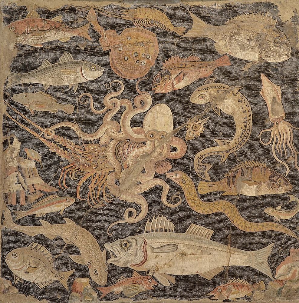 Photo courtesy of Wikimedia Commons of a mosaic floor featuring a catalog of marine life in earth tones on a field of dark background tesserae. There are approximately 16 species swimming around in this image: lobster, octopus, squid, shellfish, eels, flounder, etc. They all gaze up at you as if you are looking down through a glass bottom boat.