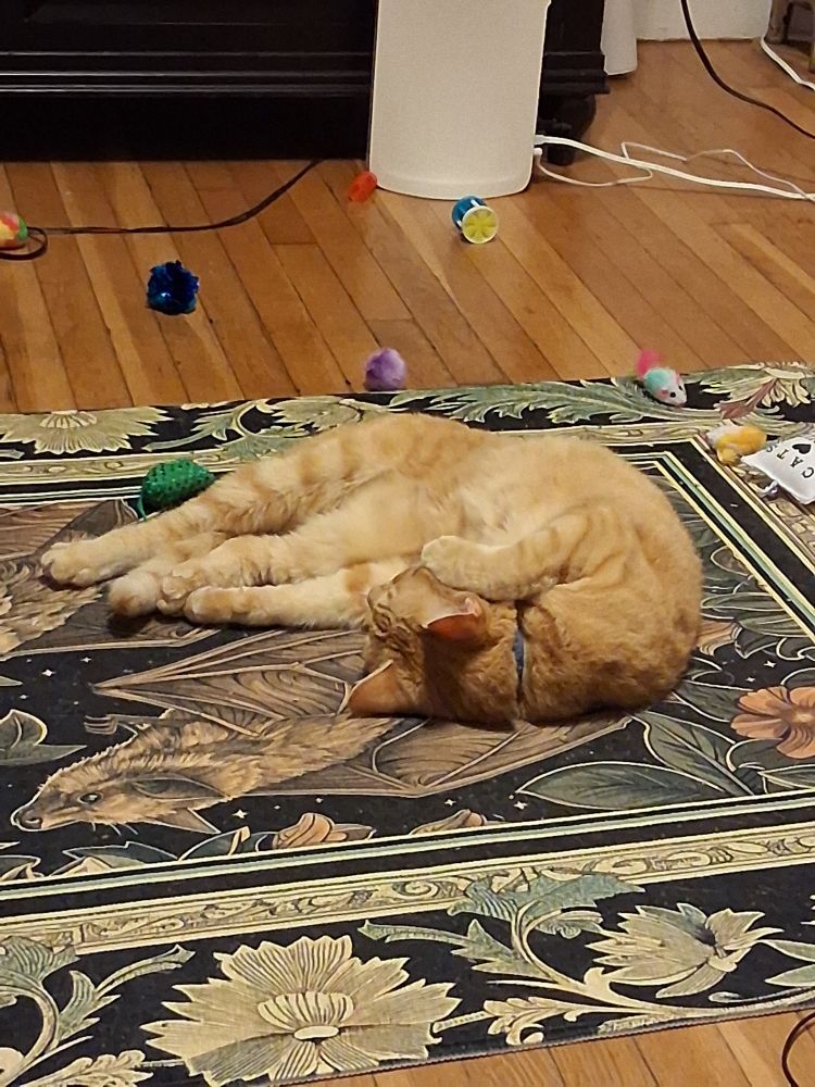 An orange tabby cat half rolled over asleep on a rug surrounded by cat toys