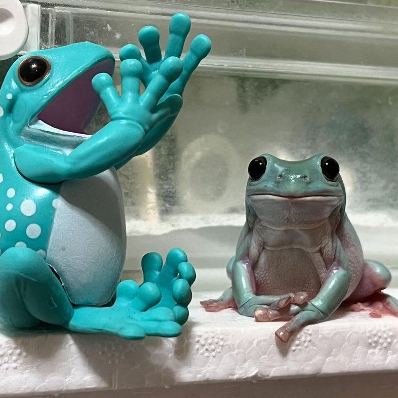 Clive the frog