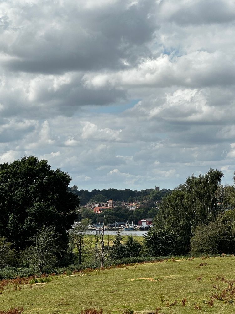 View of the River Deben, taken through the trees from the Sutton Hoo estate.