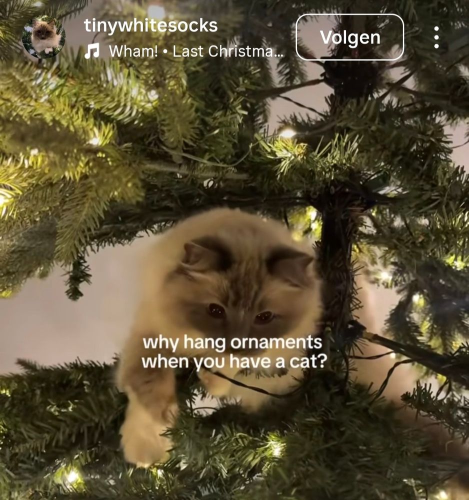 Filmpje op insta met idd Last Christmas van Wham