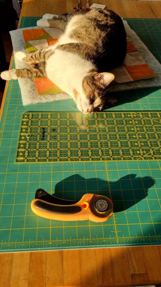 Cat on a quilt spread out on a cutting table in the sun. There's a reflection of her face in the Plastik of the quilting ruler.