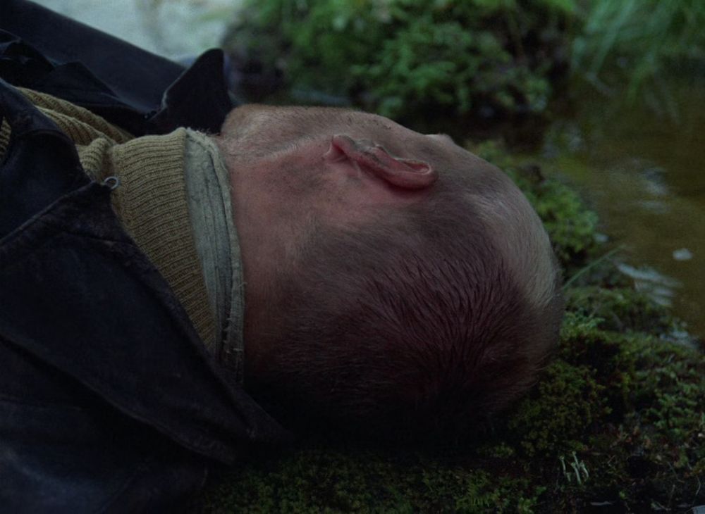 Stalker Frame: 04830