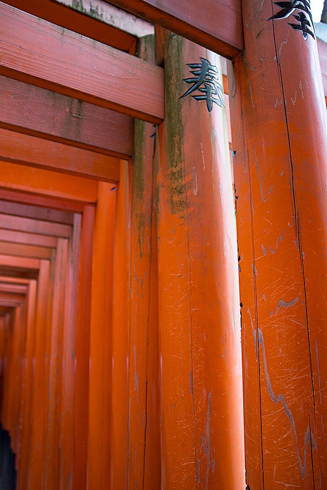 Round, red pillars with red, flat crossbeams are built very close to one another. There are a lot of them, so it truly looks like it was copied and pasted. This is a well-known landmark that millions of people photograph. Kyoto, Japan