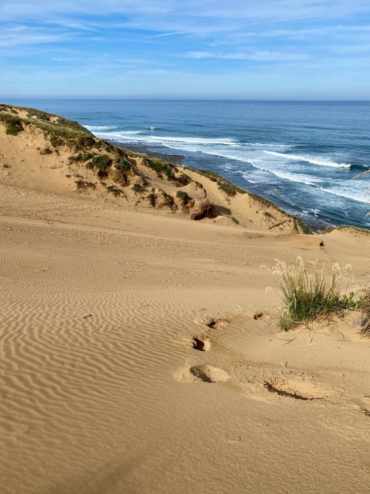 A steep, sandy slope down to the ocean below has wind ripples and footprints leading your eye to towards the beach. There are some beach grasses and other vegetation. The waves are rolling in under a mostly blue sky with thin streaks of clouds.