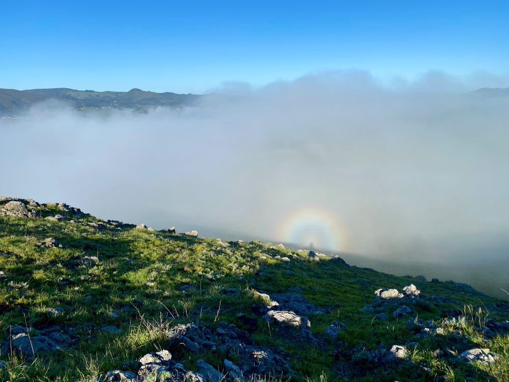 I'm standing on a mountain ridge that is green grass and rocky looking downhill at the fog lying in the valley. My shadow stretched over the ridge onto the fog bank, and around my head is a rainbow.