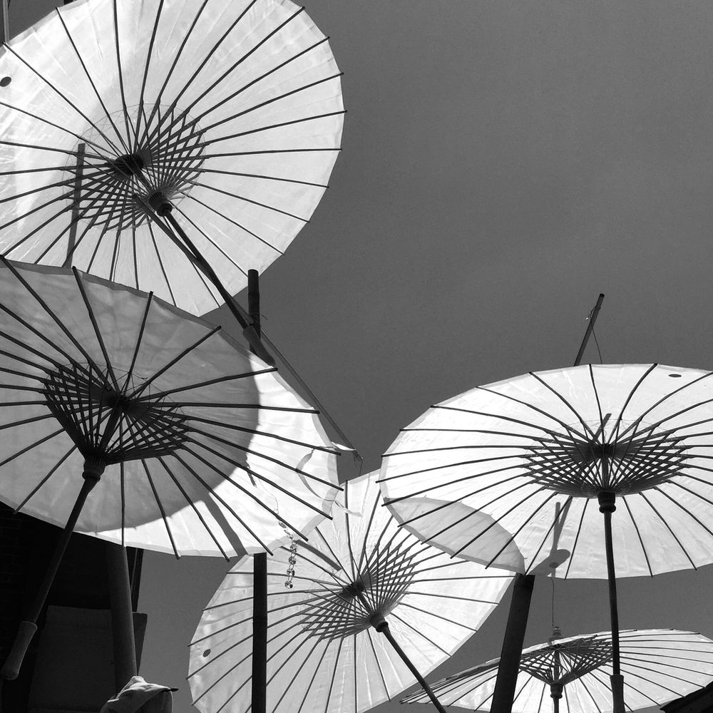 White paper parasols are open and standing at different angles. The photo is shot from a low angle, so the sun is backlighting the parasols, while some parasols cast shadows on others. The sky is about a 50% gray, the parasols are close to white, and the wood structure of the umbrellas is black.