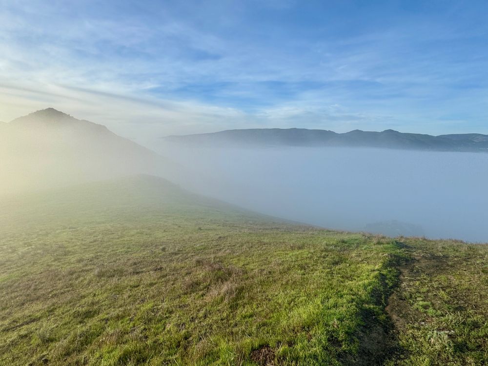 Fog is lying in the valley and just creeping over a green, grassy hill. The sky has soft, smooth clouds. Ridge trail in Laguna Lake Park Open Space in San Luis Obispo, California. 